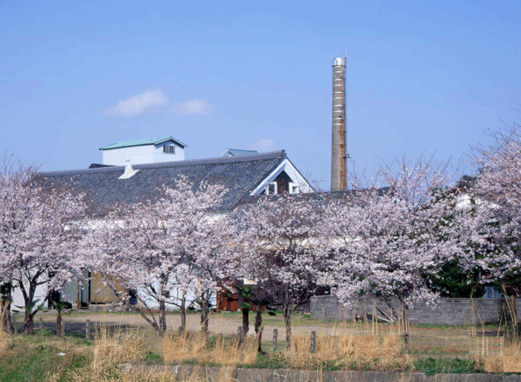 Naito Brewing Co., Ltd.